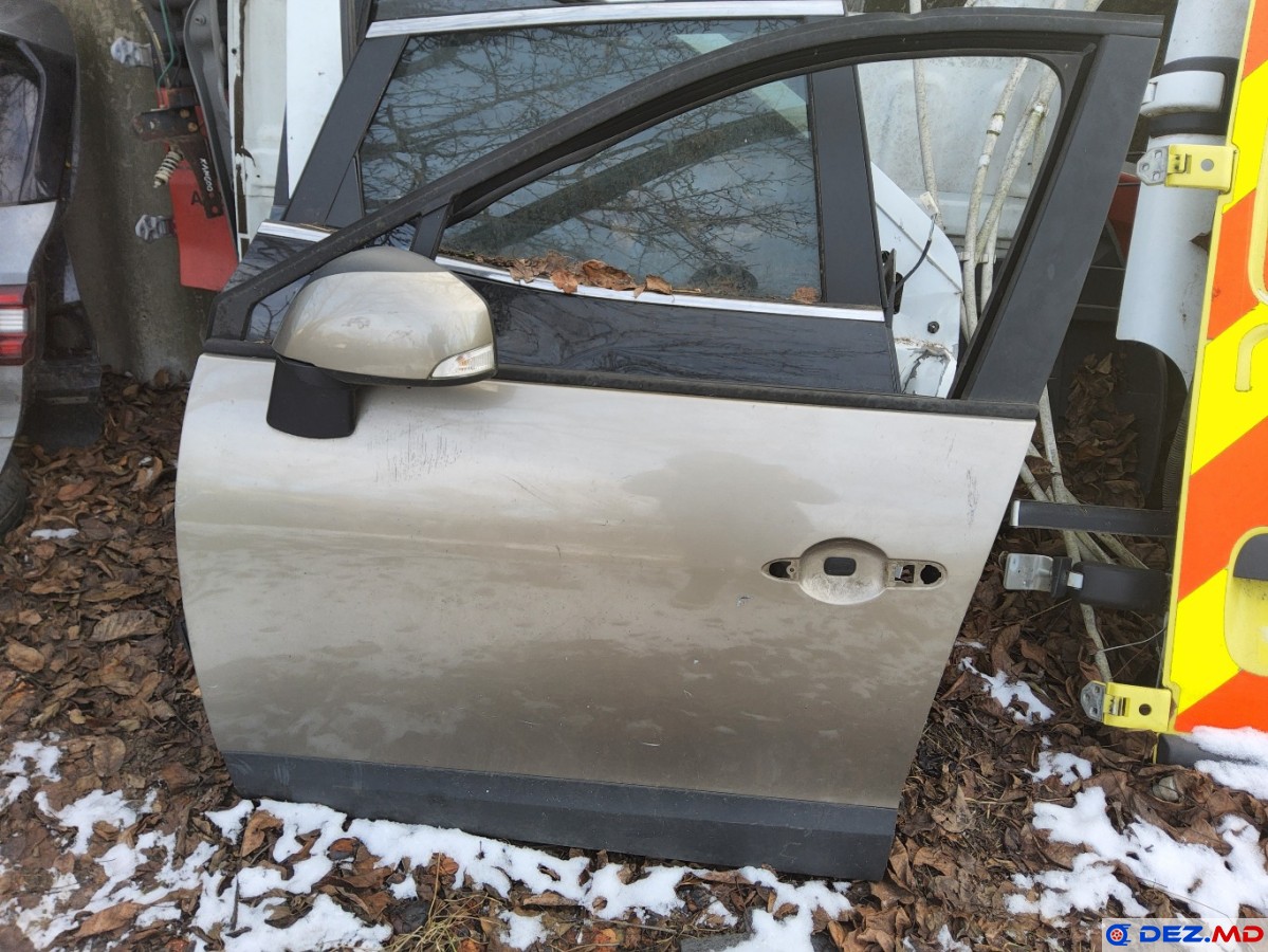 Usa stinga, Usa stinga, Renault Scenic 3 (2009-2016)